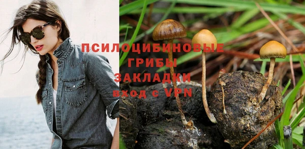 синтетический гашиш Абдулино