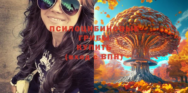 трава Аркадак